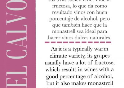Fun facts with El Calvo Wines